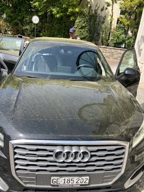 德斯伊利斯波若梅斯大酒店-官方