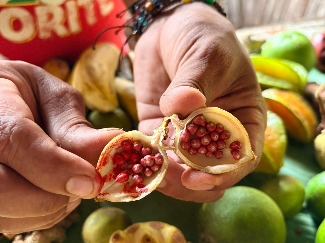 World Evasion-圣何塞必去景点