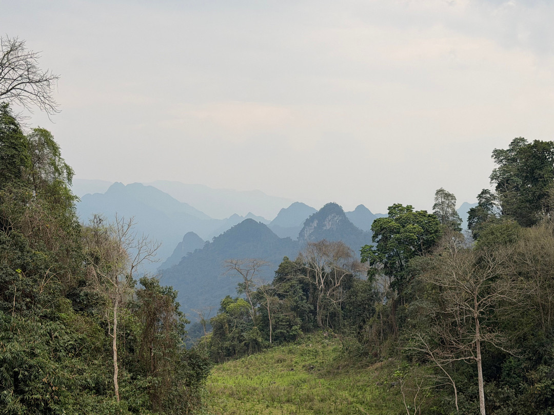 Ba Be Jungle Houses主图