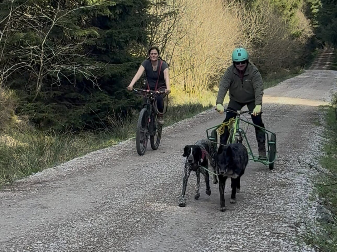 Mynydd Sleddog Adventures-Cerrigydrudion必去景点