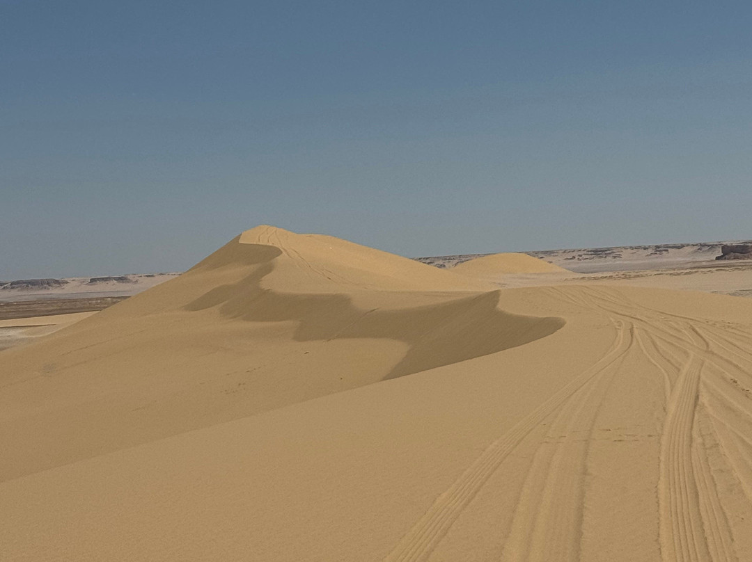 Cairo Top Tours-开罗必去景点