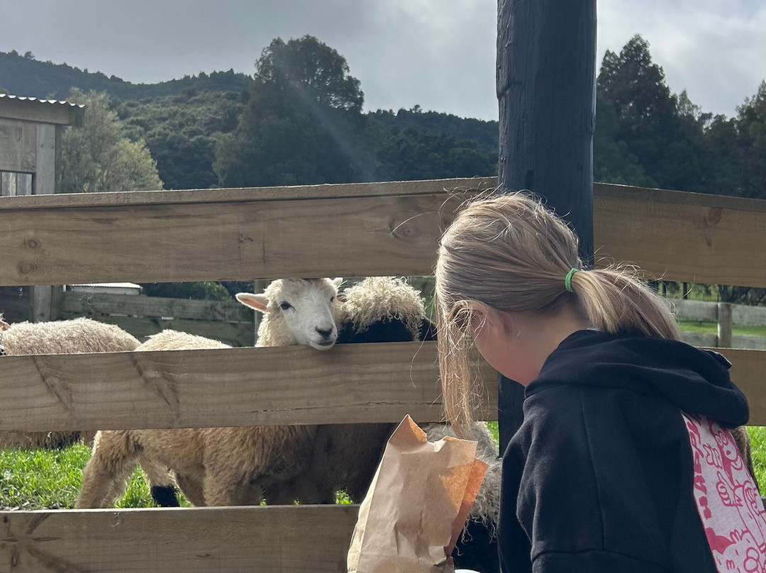 Sheepworld Farm Park-瓦卡沃夫必去景点