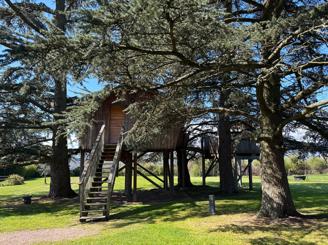 Domaine des Grands Cèdres主图