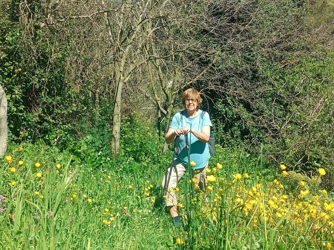 Siciliavagando Adventures-Ragusa CIty必去景点