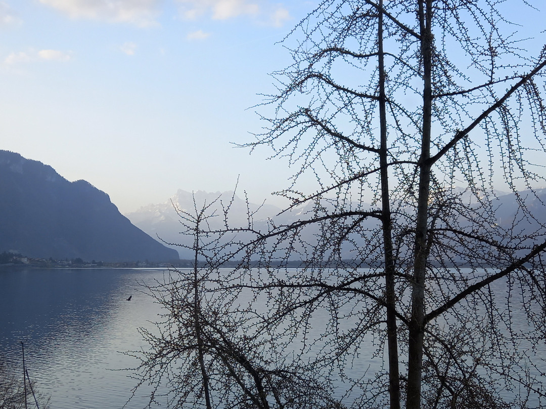 艾克森耶大酒店主图