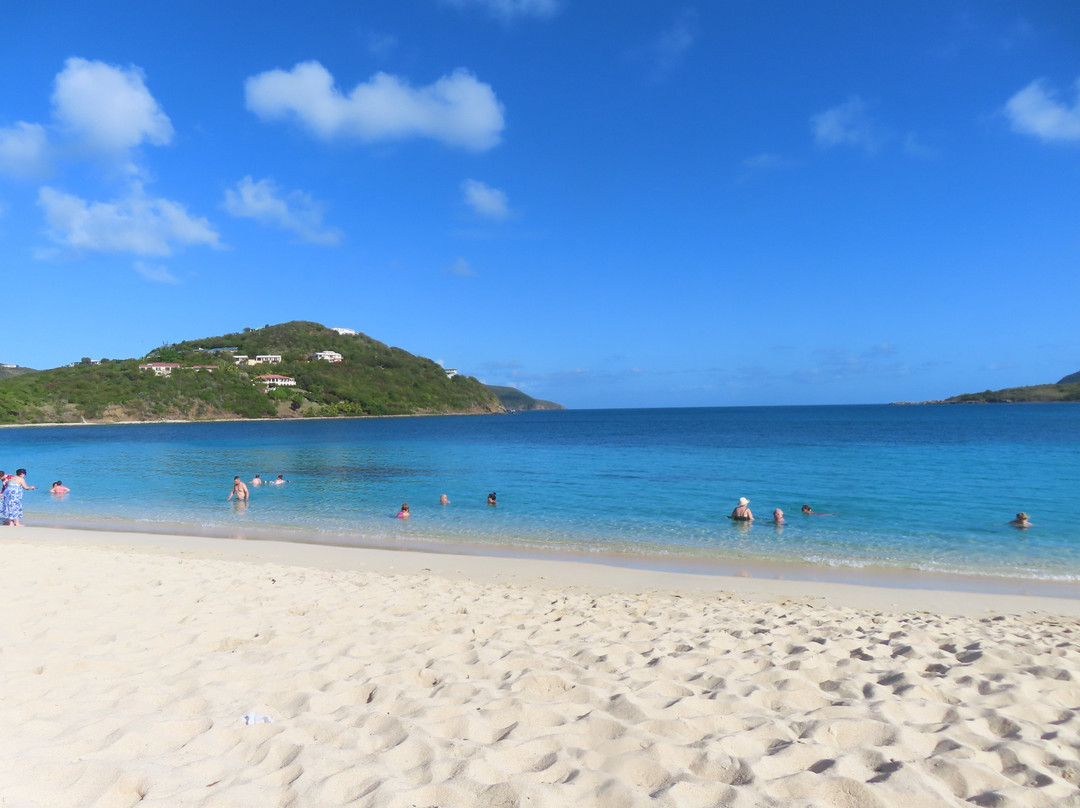 Long Bay Beach-托土拉必去景点