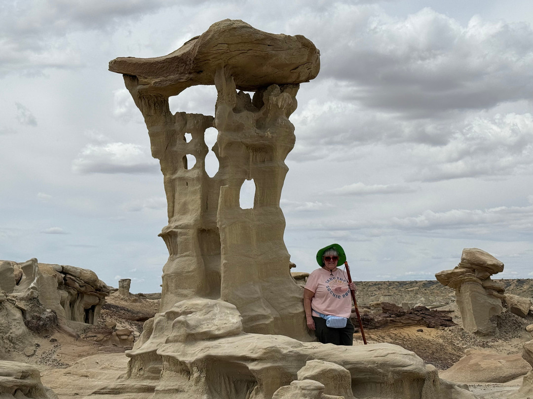 Navajo Tours USA-Nageezi必去景点