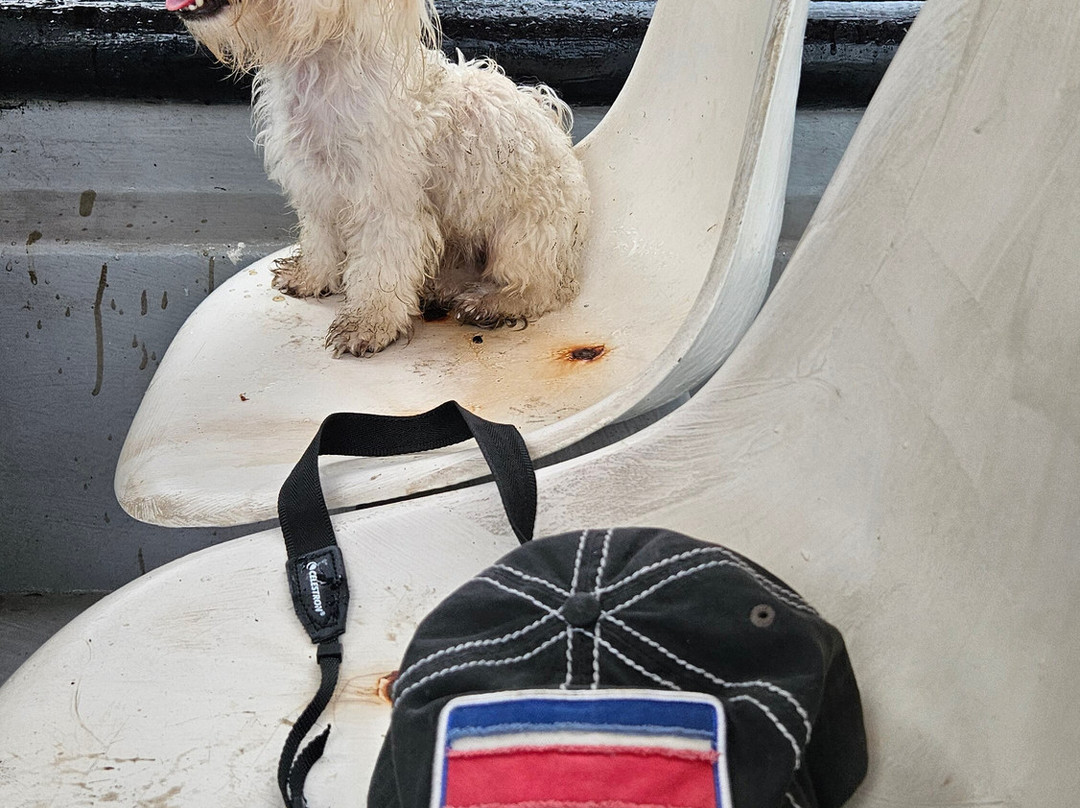 Manuel Antonio Expeditions-哥斯达黎加安东尼奥国家公园必去景点