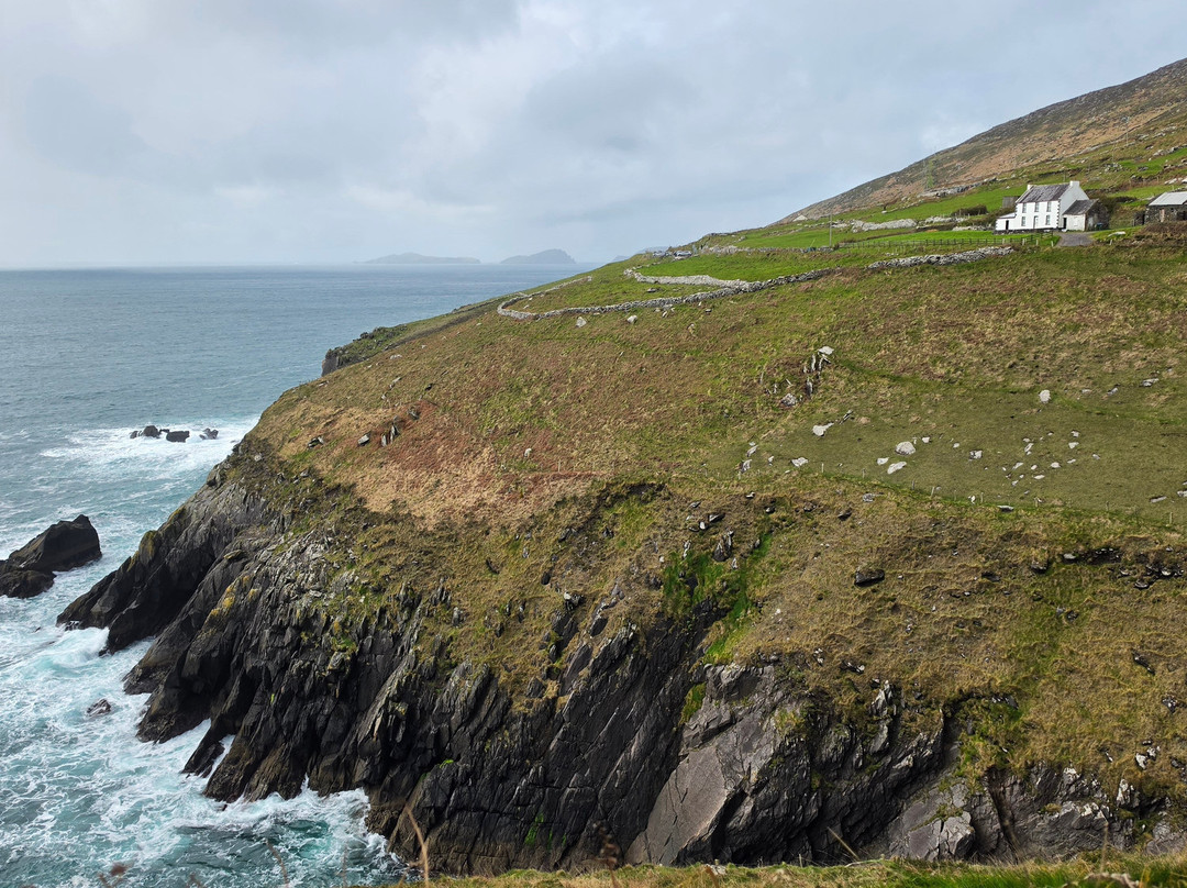 Kerry Experience Tours-Sneem必去景点