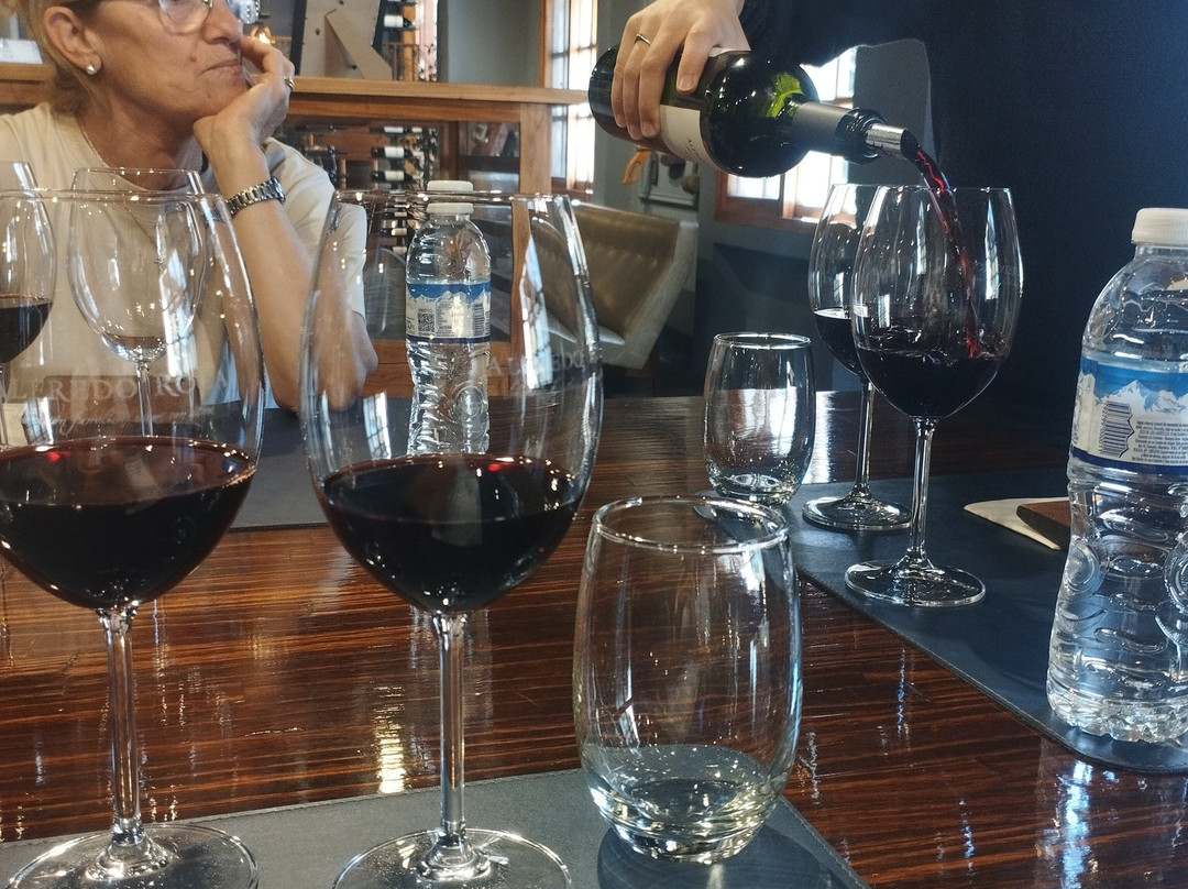 Bodega Alfredo Roca-圣拉斐尔必去景点