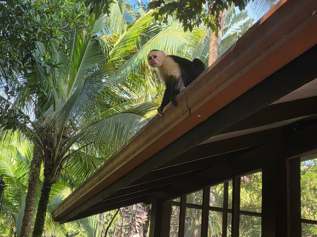 Bella Aventura Costa Rica-Santo Domingo de Heredia必去景点
