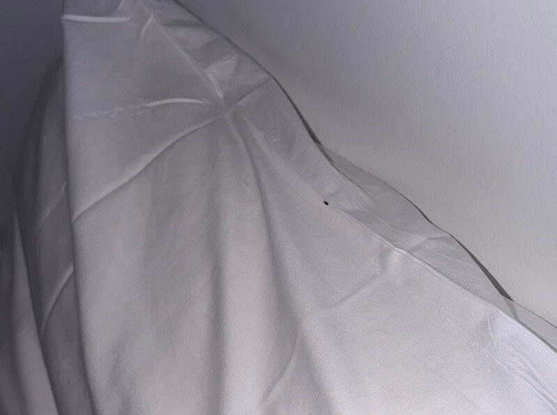 布里斯班北部舒适酒店主图