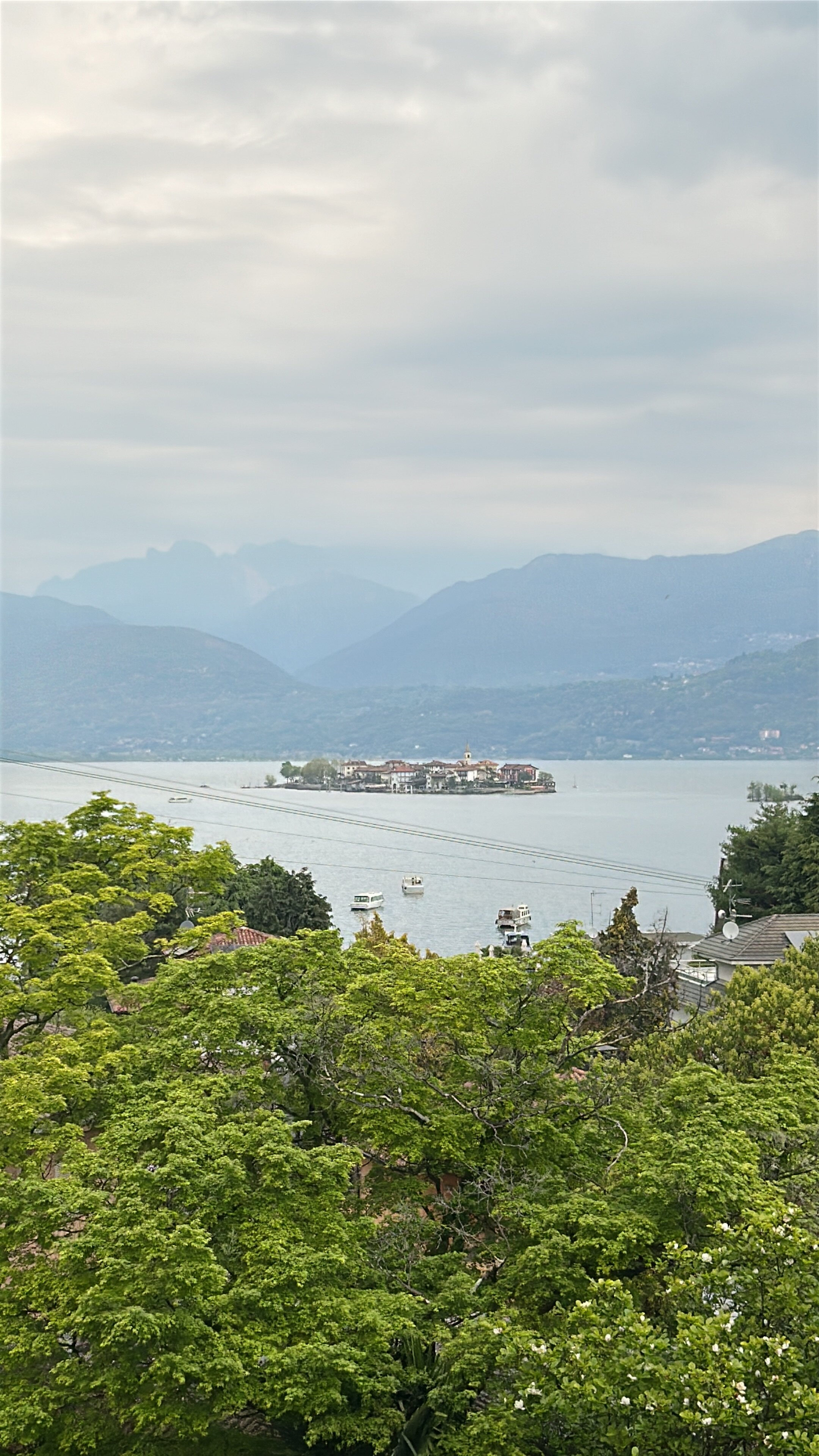 弗洛拉酒店-旅行者