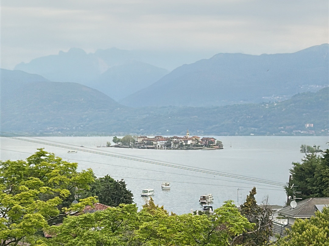 弗洛拉酒店主图