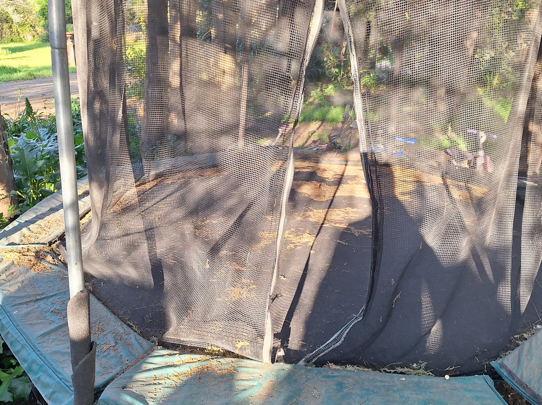 特里尼塔公寓酒店主图