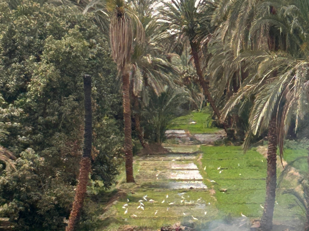 Mövenpick Ms Royal Lily Nile Cruise-卢克索必去景点