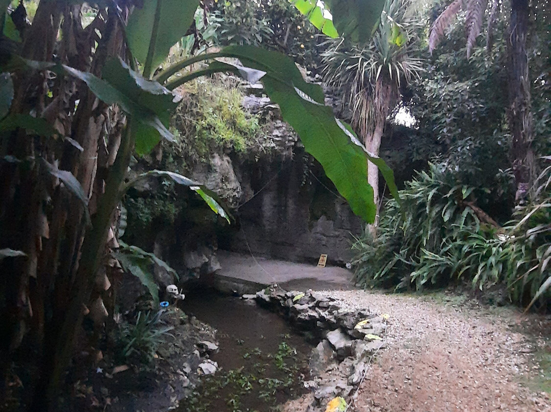 岩石小屋酒店主图