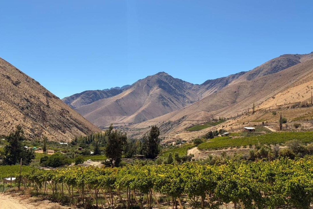 Fundo Los Nichos-Pisco Elqui必去景点