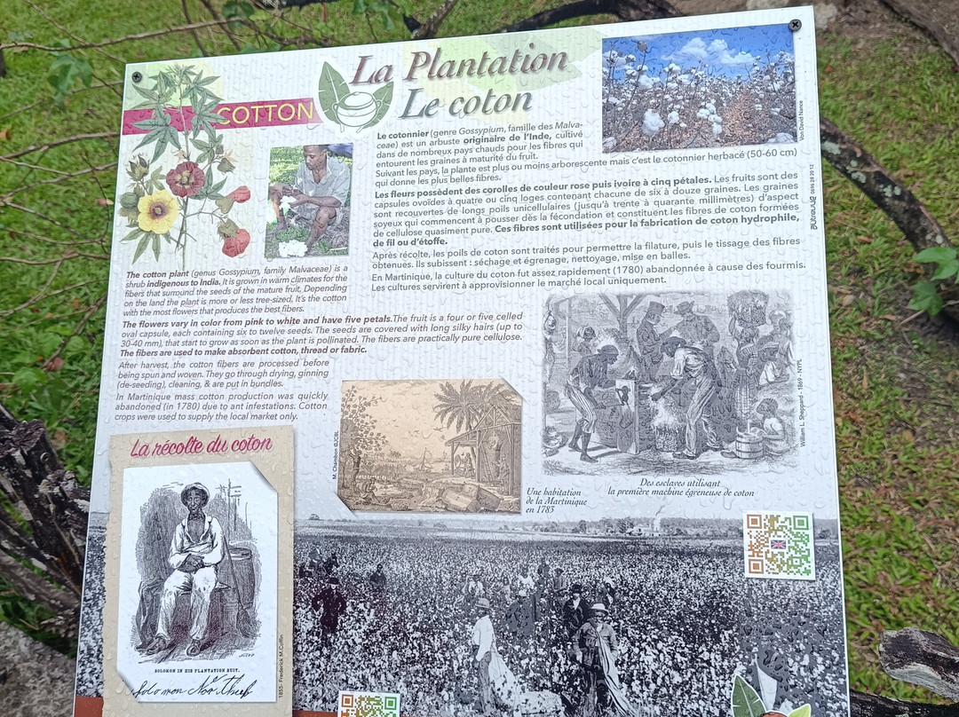 La Savane des Esclaves-Trois-Ilets必去景点