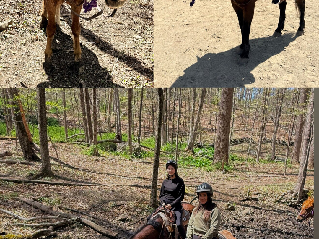 Westchester Trail Rides-Croton on Hudson必去景点