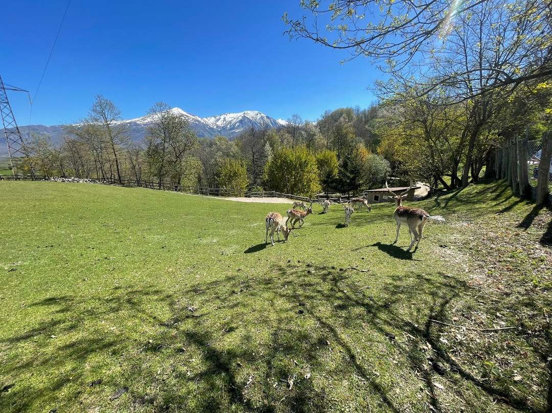 Province of Rieti旅游景点-Oasi di Orie Terme