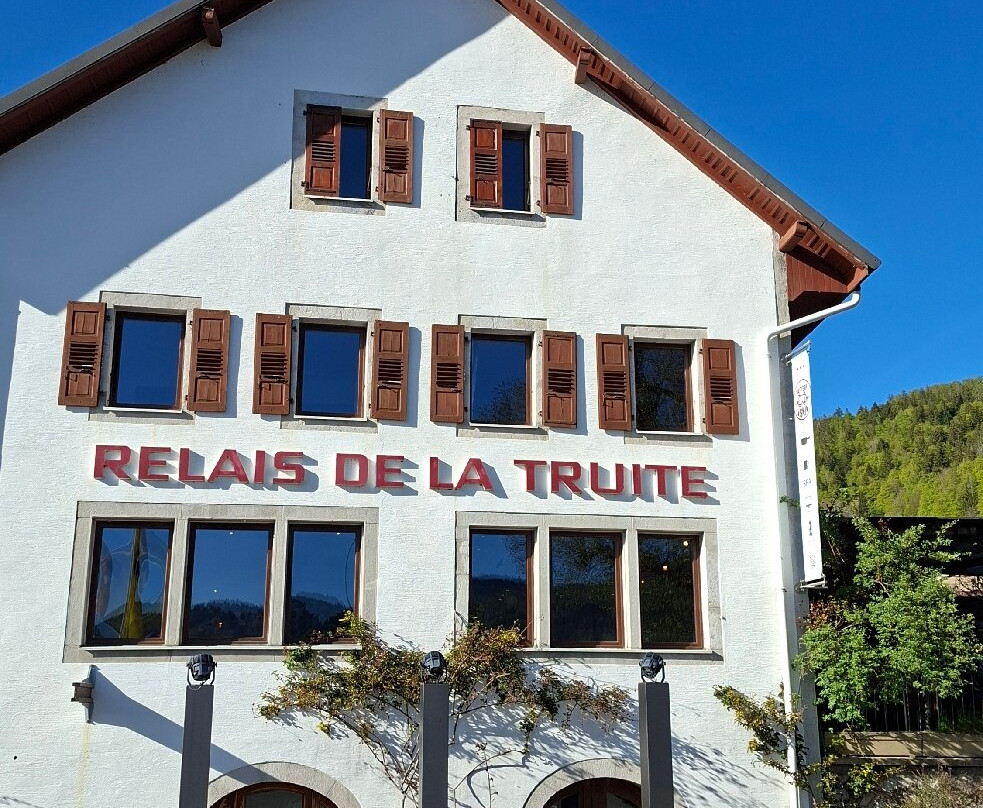 Hotel de la Truite & Spa le Petit Nautilus主图