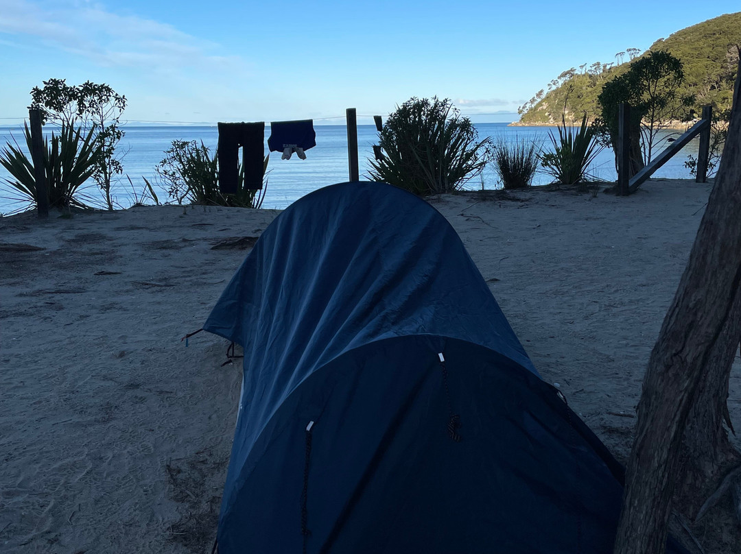 Abel Tasman Hire Company-凯特里特里必去景点