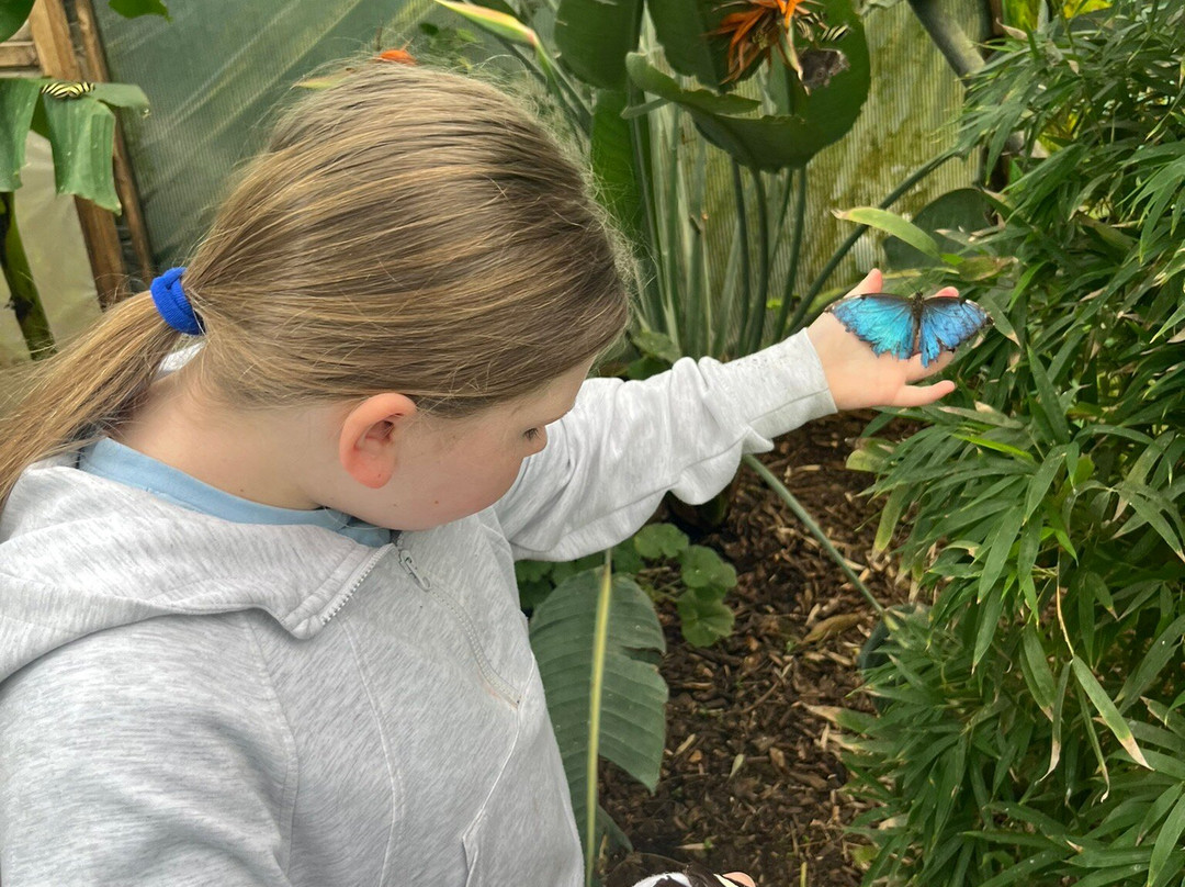 Butterfly Gardens @ Middleton Common Farm-Westmeston必去景点