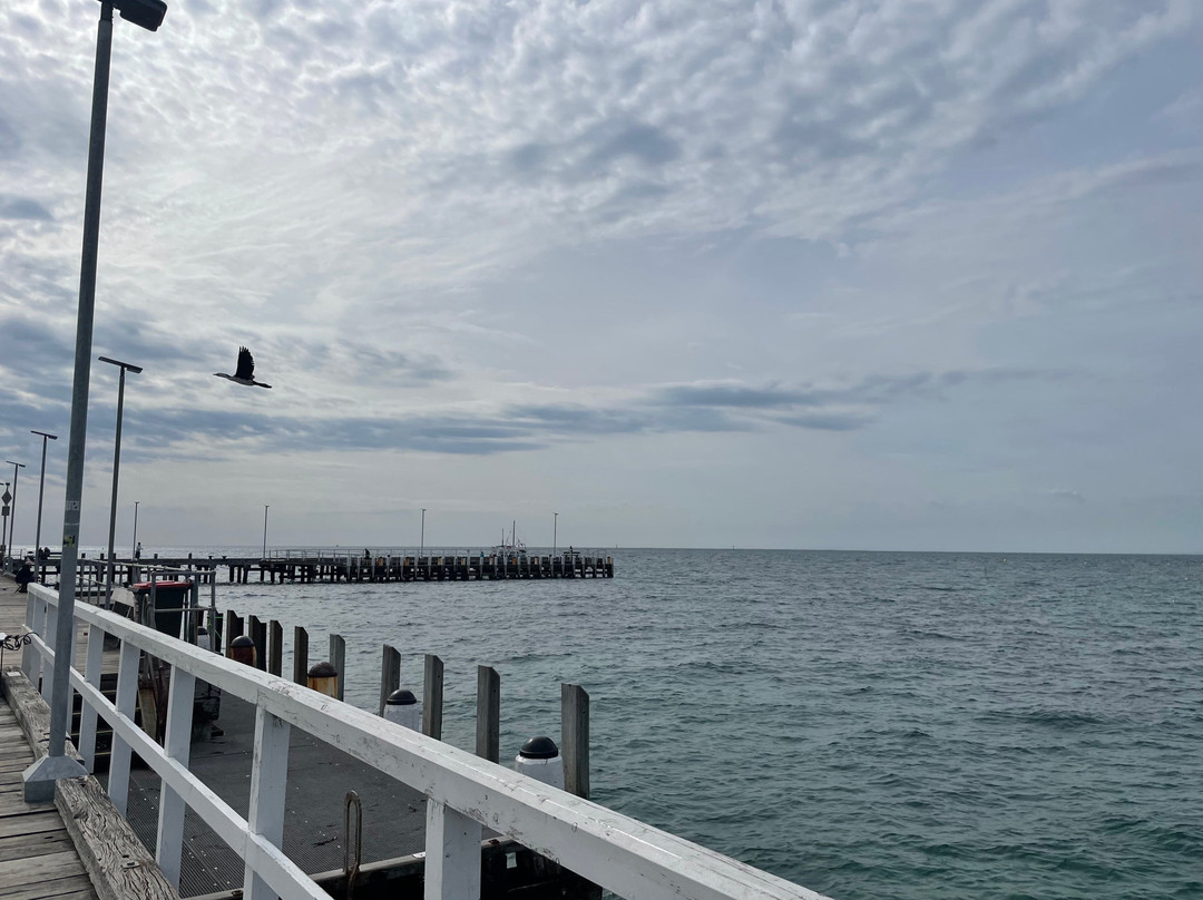 Portsea Pier-波特西必去景点