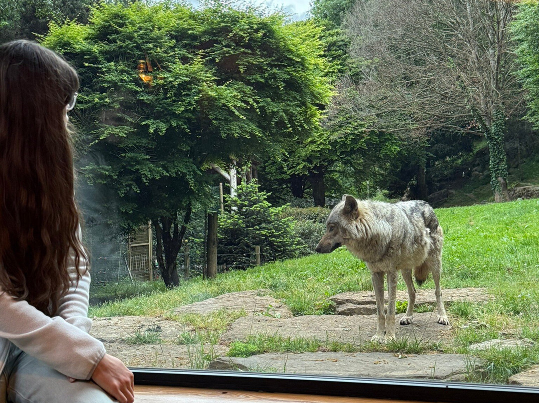 Parc Animalier Des Pyrénées-Ayzac-Ost必去景点