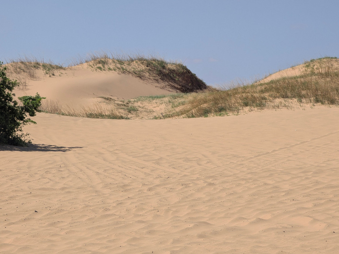 Beaver Dunes Park-Beaver必去景点