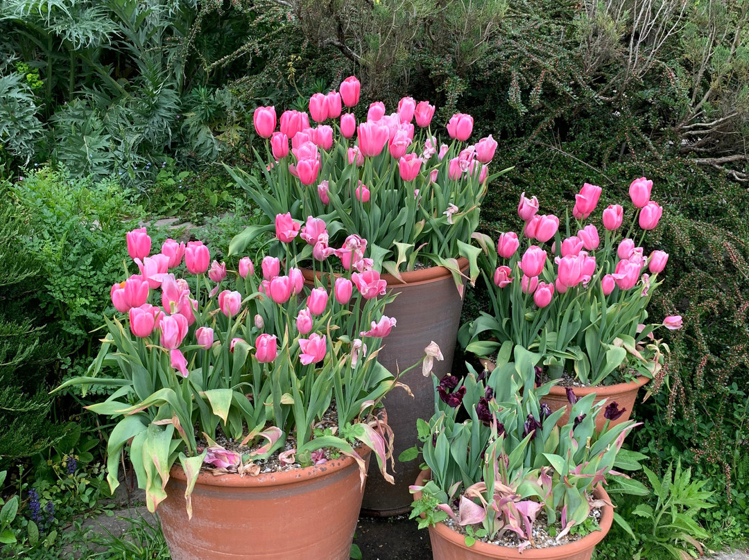 Great Dixter House & Gardens-Northiam必去景点