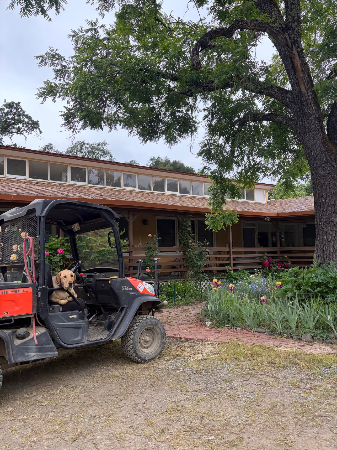 RustRidge B&B / Winery-旅行者