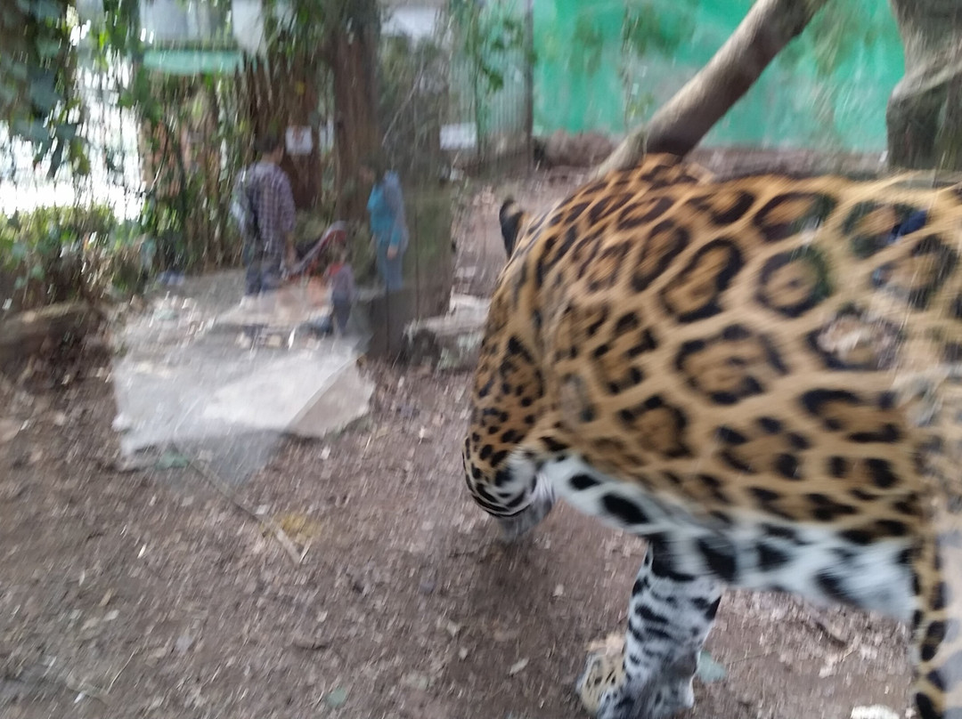 Giardino Zoologico Di Pistoia-皮斯托亚必去景点
