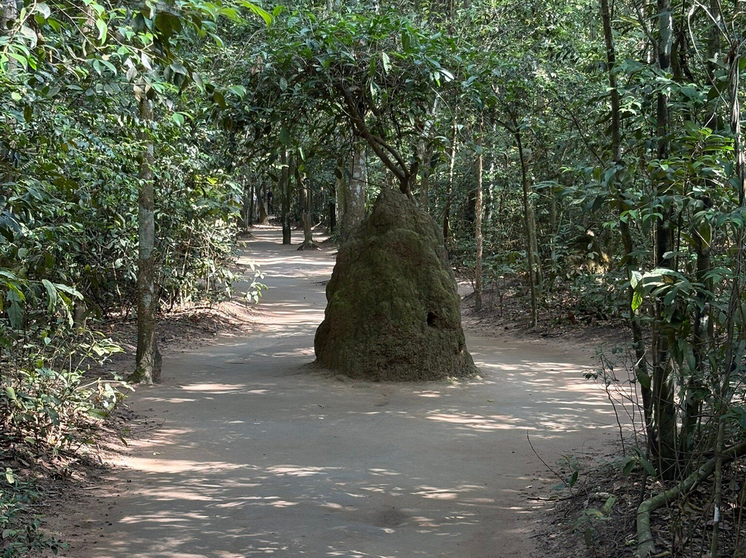 Ben Dinh Tunnels-胡志明市必去景点