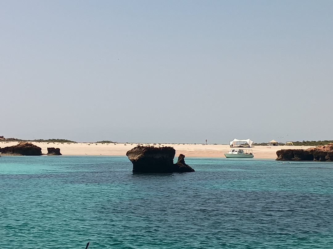 Desert Camels Adventure Tours-尼日瓦必去景点