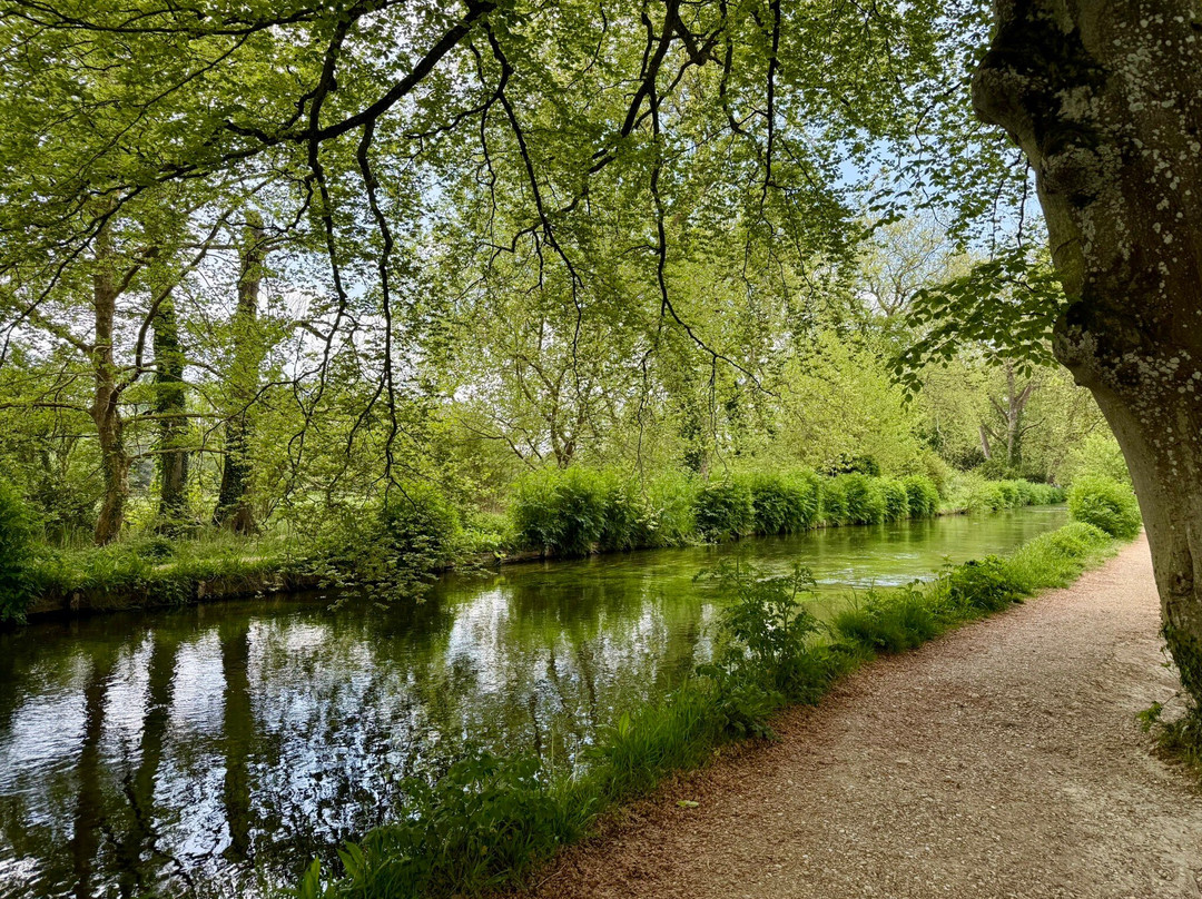 Mottisfont Abbey-Mottisfont必去景点
