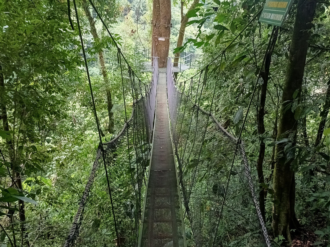 Rainmaker Park-帕利塔必去景点