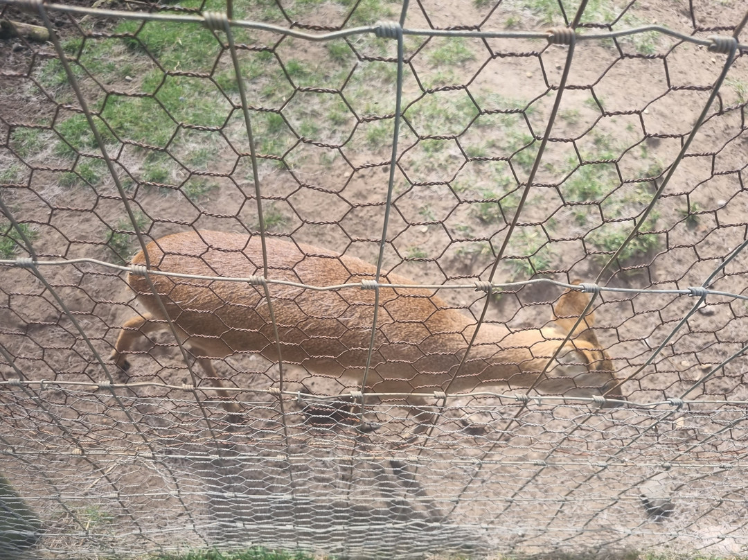 Hillside Shire Horse Sanctuary-West Runton必去景点