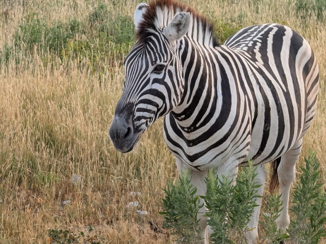 Nature Travel Namibia-温德和克必去景点
