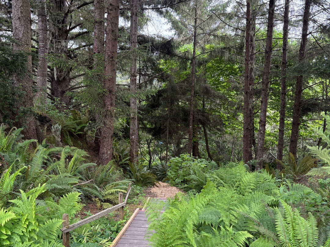 Humboldt Botanical Garden-尤里卡必去景点