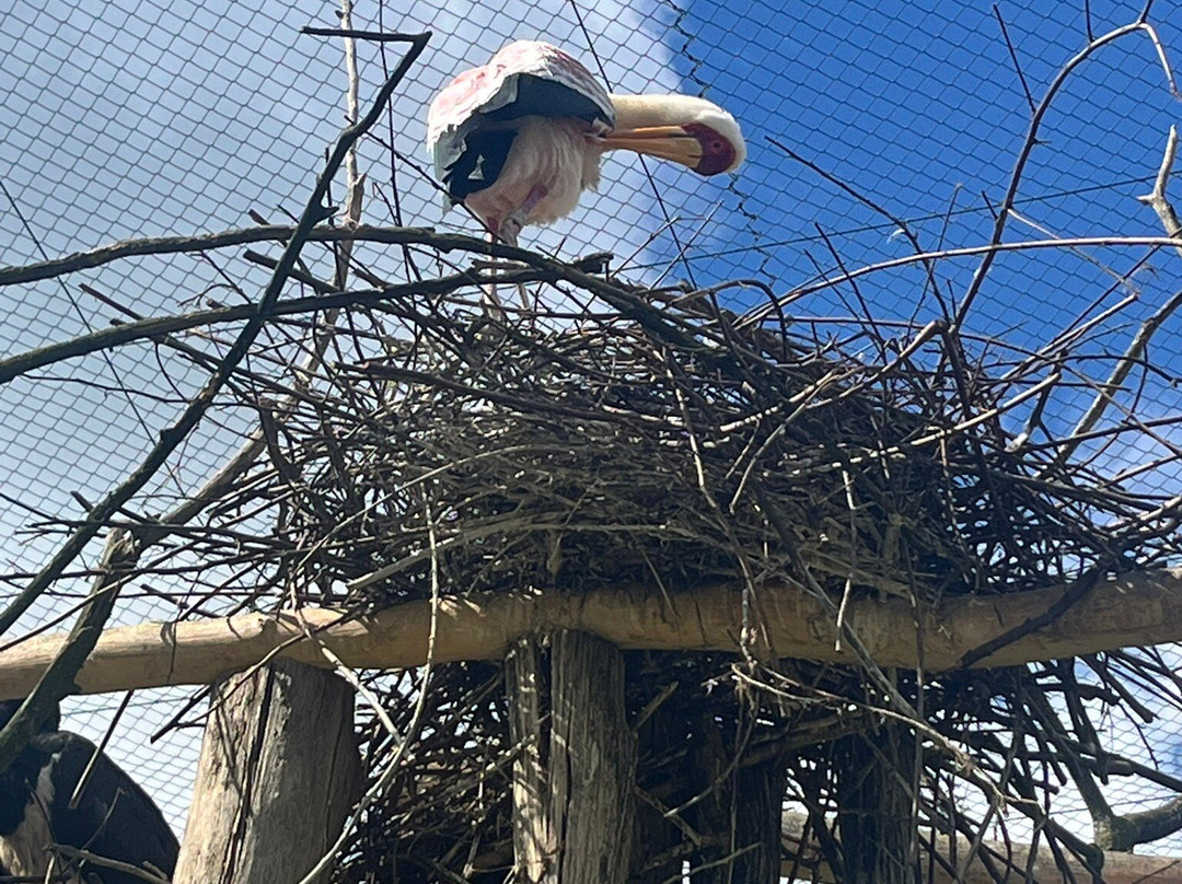 Parc Des Oiseaux-Villars-les-Dombes必去景点