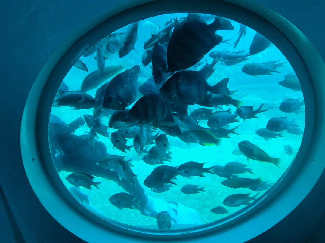 Submarine Tour - Udo Submarine-济州必去景点