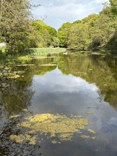 Warner Hotels Gunton Hall-旅行者