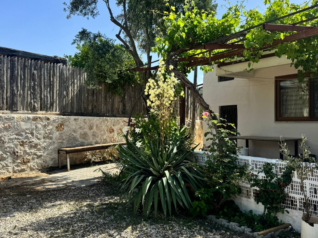 Patara Viewpoint Hotel主图