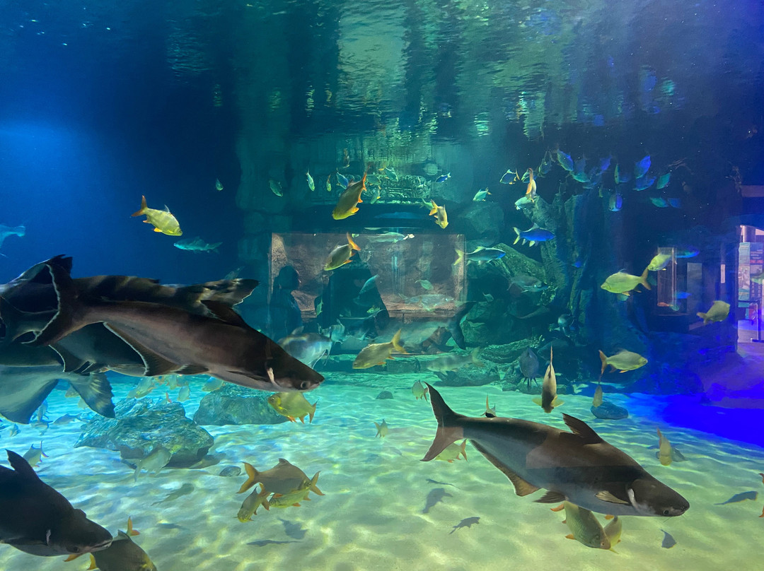 Angkor Wildlife & Aquarium-暹粒必去景点