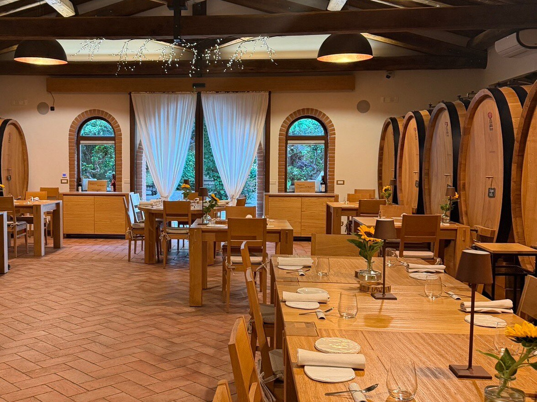 Cantina Sant'Andrea Azienda Agricola-特拉西那必去景点