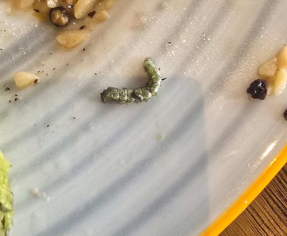 丹森普拉姆酒店主图