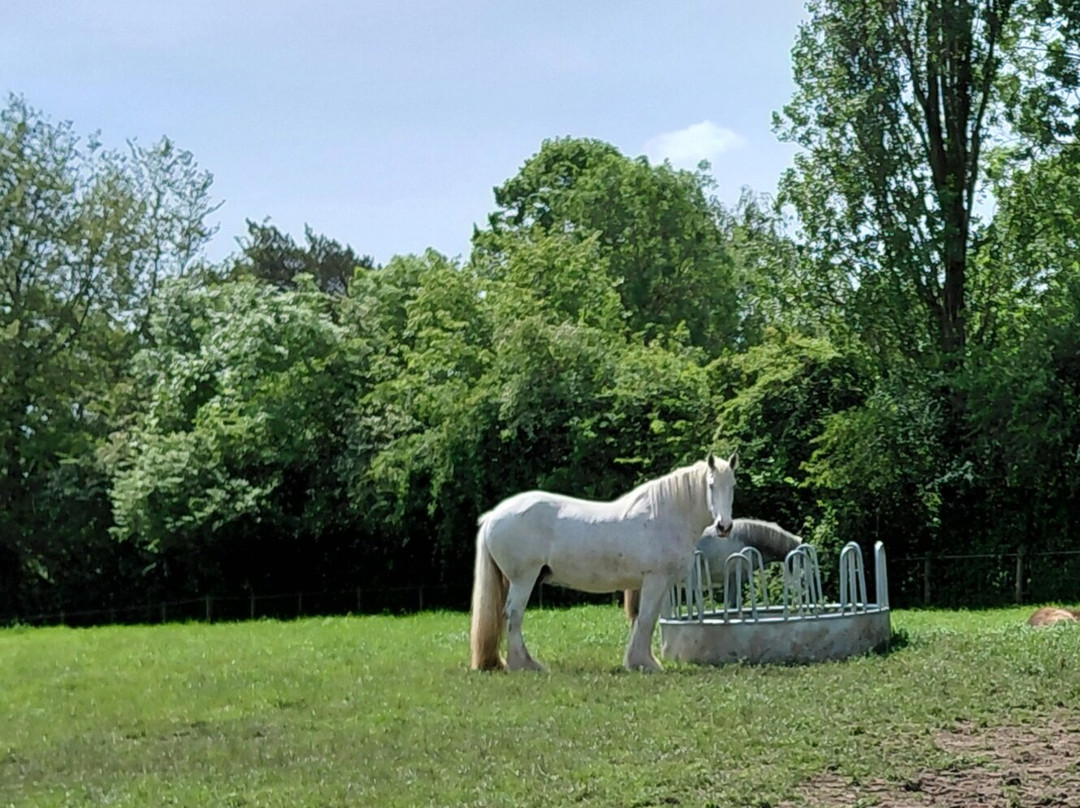 Cannon Hall Farm-Cawthorne必去景点