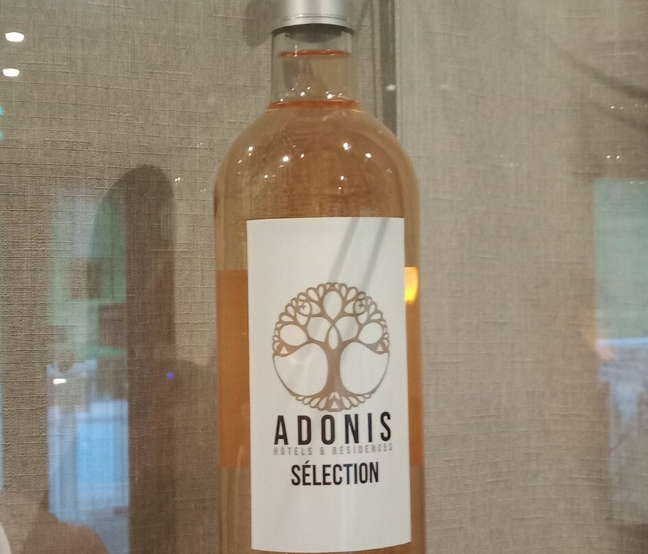 阿多尼斯威尔伯格酒店主图